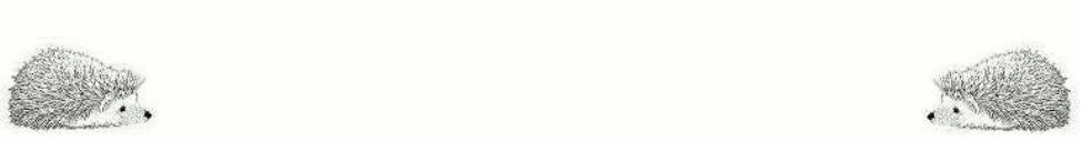 hedgehogsbyhoodpetzbanner.gif